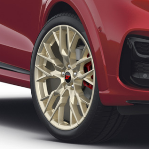 Platišče iz lahke zlitine 19" 5 x 2 kraki, mat